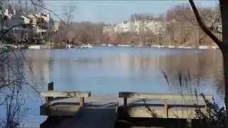 Reston Real Estate Videos - Lake Audubon Place Cluster