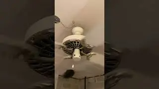 Startup of a Hunter Original Ceiling Fan