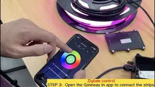 How to Connect Paneralux Pool Lights to Wifi for App and Voice Control