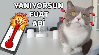 SICAKLIKLARDAN BUNALAN MİNNOŞLAR( YANIYORUZZZZ!! )