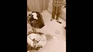 The most iconic cake drop 🍰 ENHYPEN