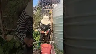 Thank you to the previous two thousand comments for their advice and help me solve the pro
