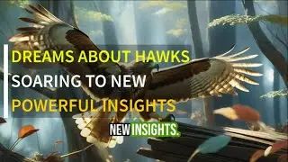 Dream About a Hawk: It's Powerful Meaning (Don't Ignore It)
