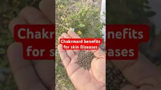 Best medicine for skin diseases