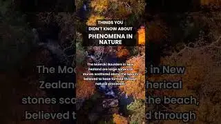 Nature's Oddities! 🌍 Share your encounters with strange natural phenomena!