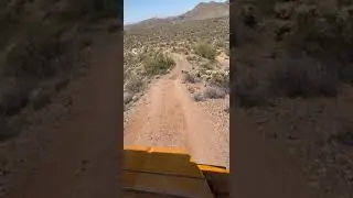 Bulldog Trail