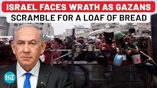 Starving Gaza Exposes Israel: Diplomatic Shock Hits Netanyahu as Brazil Fumes | Brazil Vs Israel