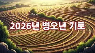 2026년 병오년 기토일간