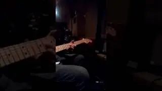【Traynor YCV-80】 and Stratocaster Blackie