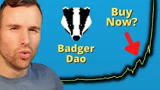 Why Badger Dao is up 🤩 Crypto Token Analysis