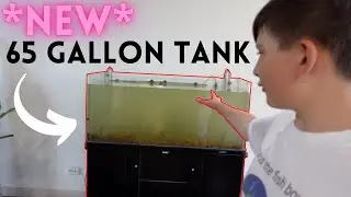 The *NEW* 65 Gallon Fish Tank - Setting up a 250 Litre Aquarium (Heavily Planted)