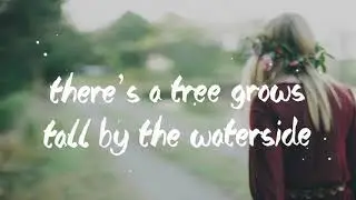 Ana Cristina Cash - Southern Roots&nbsp;(Official Lyric Video)