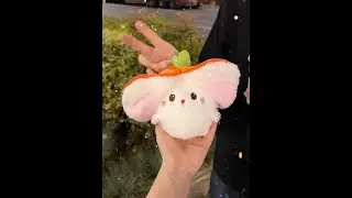 My good friend send me Good Shizi into Rabbit toy Thank you
