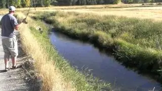 Fly Fishing Frenzy | history of sportsman's paradise whites ranch located in paradise utah