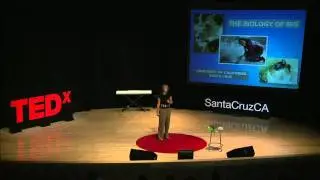 Seeing the world through animal eyes | Terrie Williams | TEDxSantaCruz
