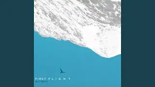 Steel Bird