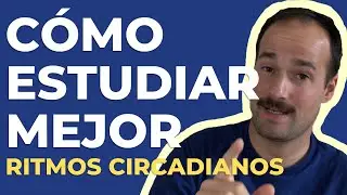 Cómo estudiar mejor, ritmos circadianos y estudiar de noche
