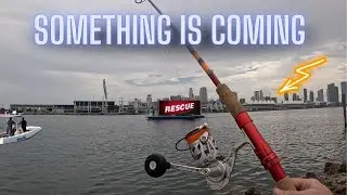 Roadside Fishing SPOT That NO ONE Tells You About!