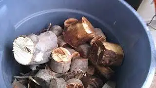 Boiling eggs using natural brush around my yard WOW!!! With the Rocket Stove.