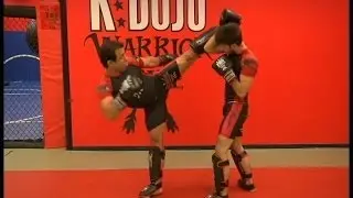 Тизер обучающих видео от K-Dojo