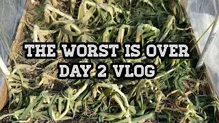 TEXAS GRID DOWN | SURVIVAL TECHNIQUES IN HIGH GEAR | DAY TWO VLOG