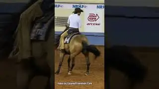 Shine NRHA Derby #aqha #nrha #caballos #horse