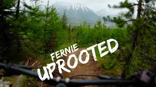 Another amazing fernie trail - Uprooted