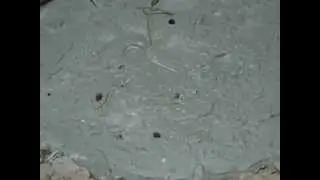 Bubbling Mud Pit