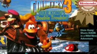 DKC3 Music - Cascade Capers - Pok&eacute;mon BW Style