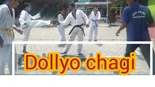 #dollyochagi#kick#taekwondokicks