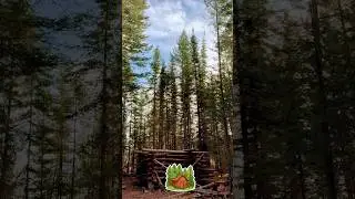 ‼️ DANGEROUS FOREST WALK OCTOBER 23rd2025/🇬🇧BRITISH Columbia#keepposting#windstorm@highway-97North