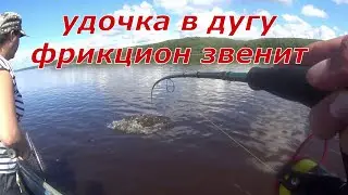 Дикий клёв щуки. Рыбалка с лодки.
