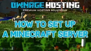 How to Get Your Own Minecraft Server!