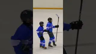 Dynamo 3 - 0 Tigers #2024 #Highlights #Hockey