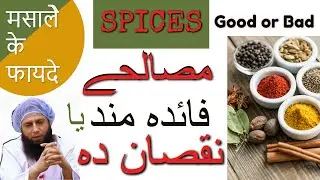 SPICES - Good or Bad (مصالحے, मसाले) by Dr. Iftikhar Ahmad Saifi