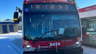 (4K 60fps) Calgary Transit 2020 Nova Bus LFS CNG - 8459