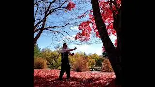 Wing Chun Practice Form, Basic Techniques!! #wingchun #wingchunkuen #kungfu #ipman