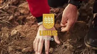 Whitestone - Loulis Bulgaria