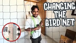 Changing the bird-net for the entire home... | A New Vlog
