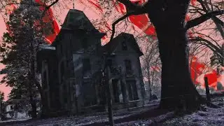 Talacactus - Poltergeist (Video Oficial)