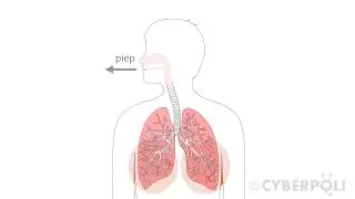 Wat is piepen of wheezing?