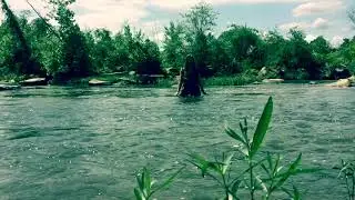 Wilderlove Dance  ft. Emily Jacobsen