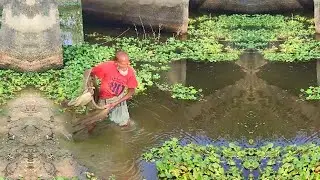 Amazing Fish Hunting by Poor Fisherman - Best Cast Net Fishing - Traditional Village Fishing