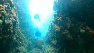 わの海　田子　三ノ浦