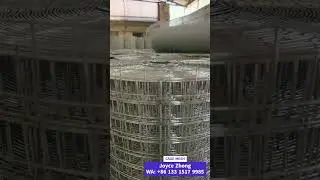 Cage mesh for chicken rabbit dog