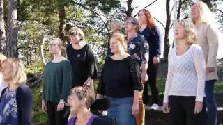 Cantando Musikkforlag 2016 - Stord con Spirito 