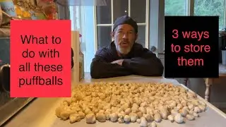 3 different ways of storing puffball mushrooms