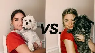 Recreating Mackenzie Ziegler's Instagram Pictures