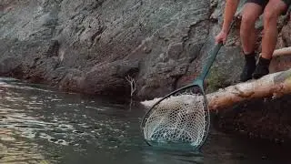 2018 Summer Fly Fishing