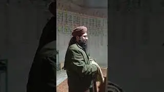 Shony Nu Arza Suna Kay || New kalam || Tohranwali Sarkar Official